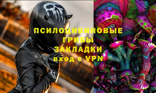 прущая мука Алзамай