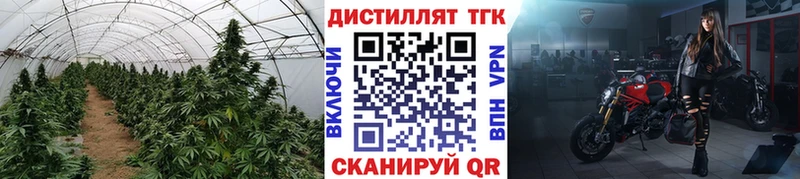 ТГК жижа  закладки  Магадан 