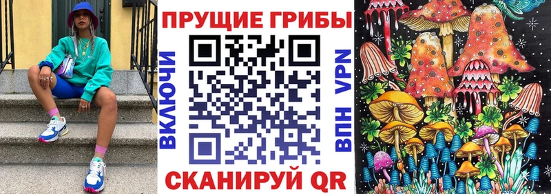 где найти наркотики  omg как зайти  Псилоцибиновые грибы прущие грибы  Магадан 